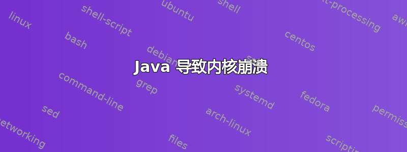 Java 导致内核崩溃