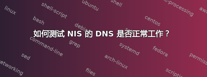 如何测试 NIS 的 DNS 是否正常工作？