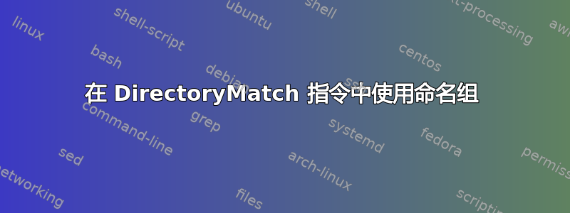 在 DirectoryMatch 指令中使用命名组