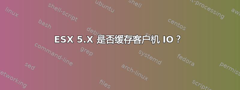 ESX 5.X 是否缓存客户机 IO？