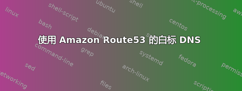 使用 Amazon Route53 的白标 DNS