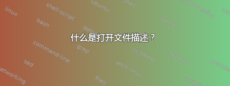 什么是打开文件描述？