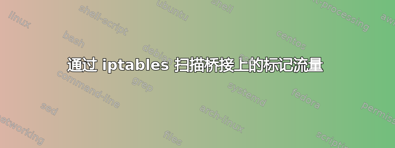 通过 iptables 扫描桥接上的标记流量