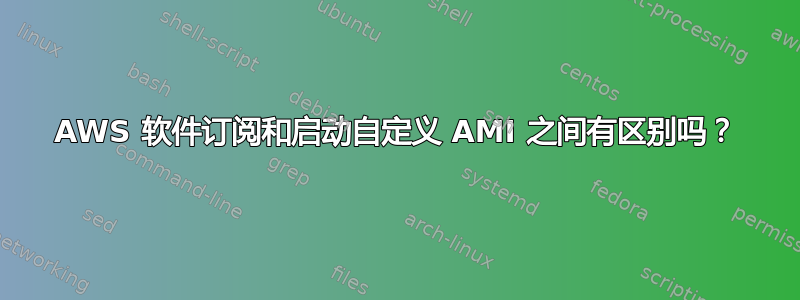 AWS 软件订阅和启动自定义 AMI 之间有区别吗？