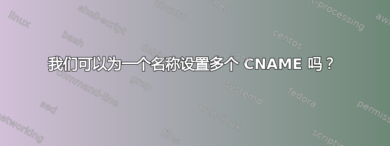 我们可以为一个名称设置多个 CNAME 吗？