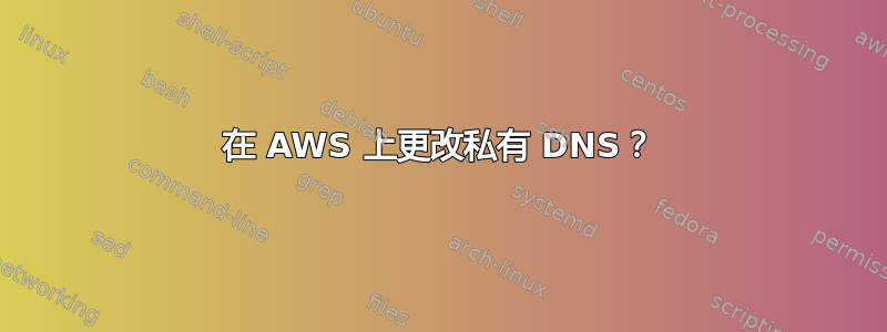 在 AWS 上更改私有 DNS？