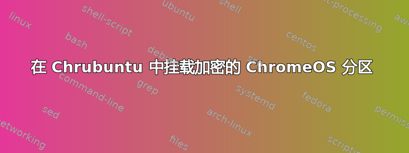 在 Chrubuntu 中挂载加密的 ChromeOS 分区