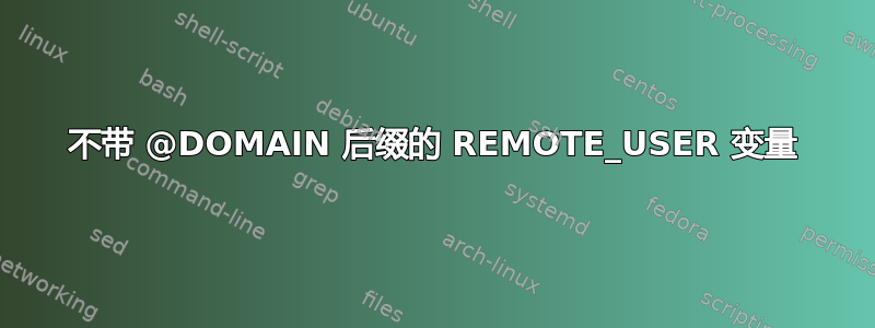 不带 @DOMAIN 后缀的 REMOTE_USER 变量