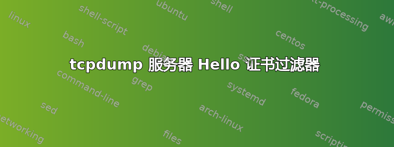 tcpdump 服务器 Hello 证书过滤器