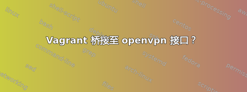 Vagrant 桥接至 openvpn 接口？