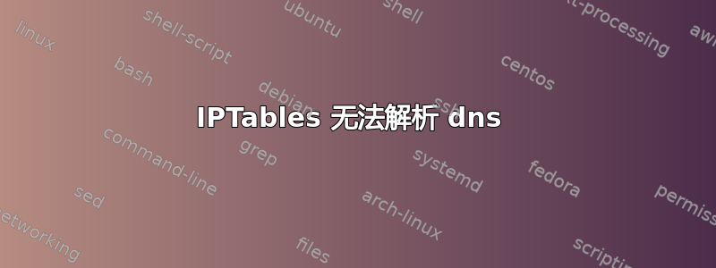 IPTables 无法解析 dns 