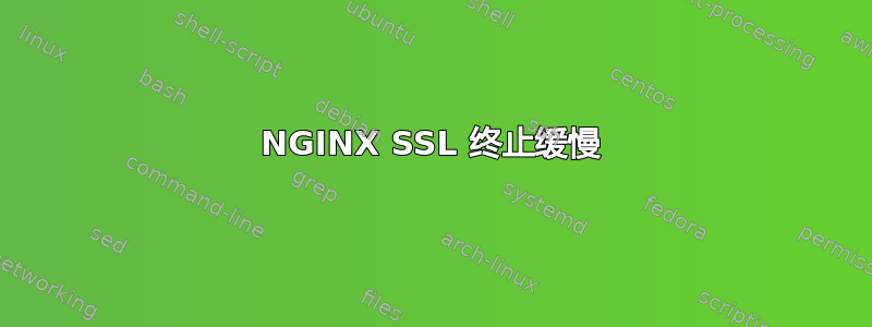 NGINX SSL 终止缓慢