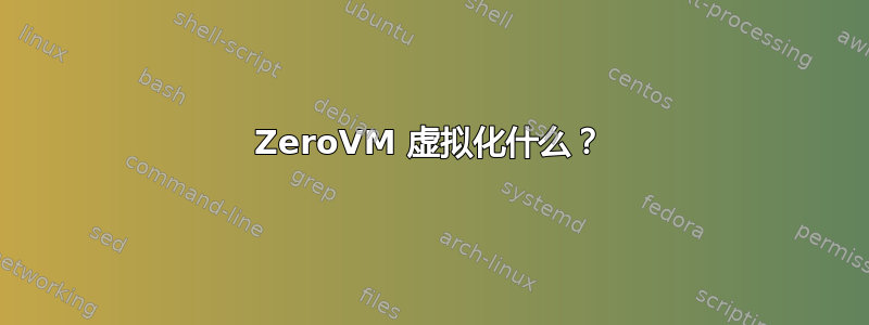 ZeroVM 虚拟化什么？