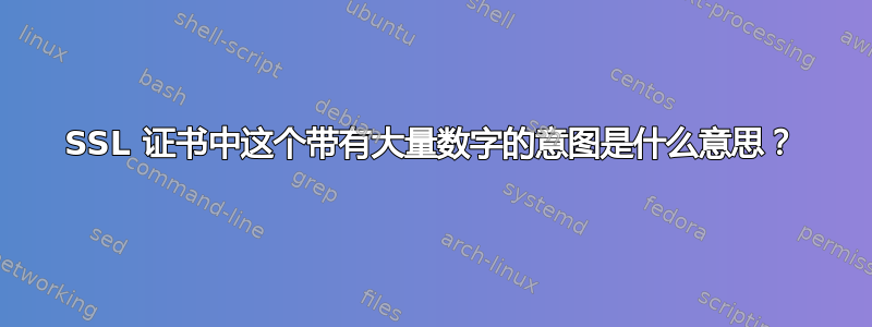 SSL 证书中这个带有大量数字的意图是什么意思？