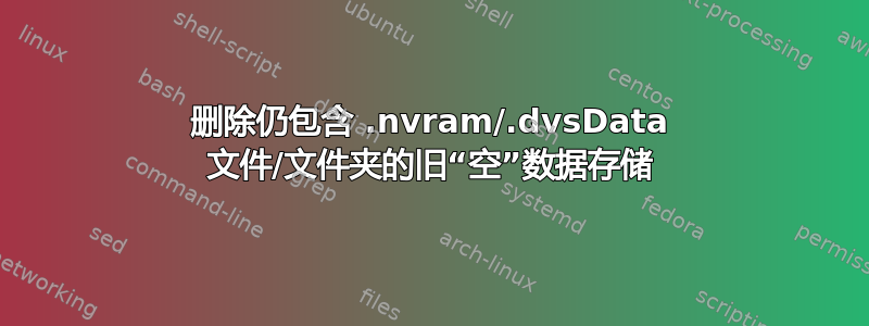 删除仍包含 .nvram/.dvsData 文件/文件夹的旧“空”数据存储