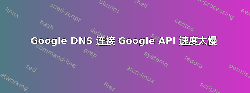 Google DNS 连接 Google API 速度太慢