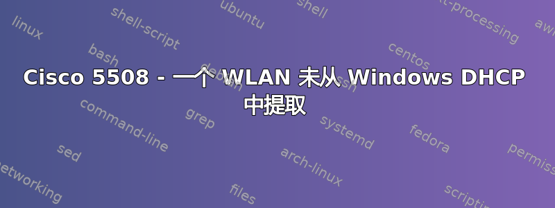 Cisco 5508 - 一个 WLAN 未从 Windows DHCP 中提取