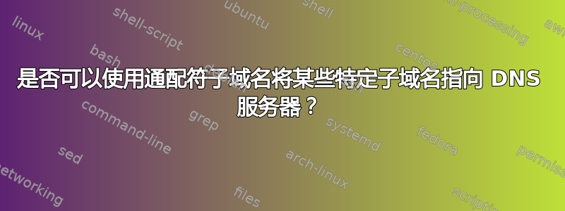 是否可以使用通配符子域名将某些特定子域名指向 DNS 服务器？