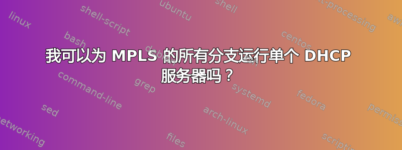 我可以为 MPLS 的所有分支运行单个 DHCP 服务器吗？