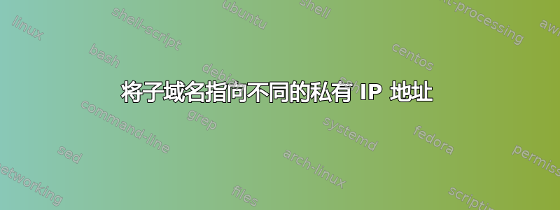 将子域名指向不同的私有 IP 地址