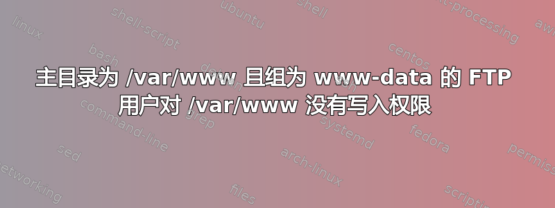 主目录为 /var/www 且组为 www-data 的 FTP 用户对 /var/www 没有写入权限