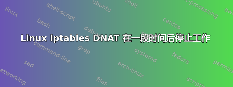 Linux iptables DNAT 在一段时间后停止工作