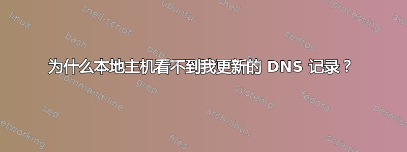 为什么本地主机看不到我更新的 DNS 记录？