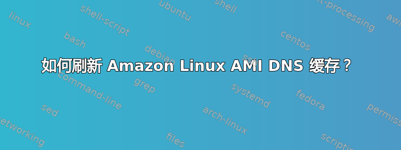 如何刷新 Amazon Linux AMI DNS 缓存？