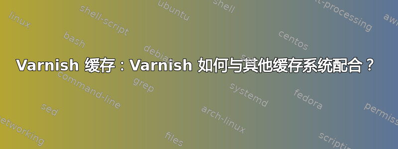 Varnish 缓存：Varnish 如何与其他缓存系统配合？