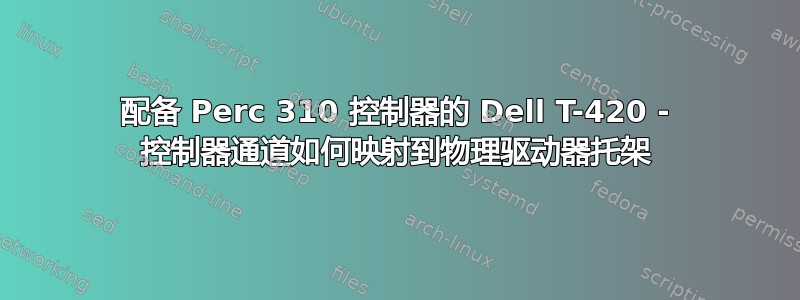 配备 Perc 310 控制器的 Dell T-420 - 控制器通道如何映射到物理驱动器托架