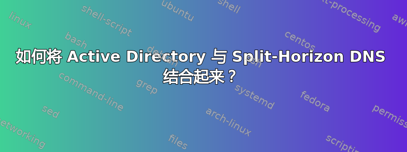 如何将 Active Directory 与 Split-Horizo​​n DNS 结合起来？