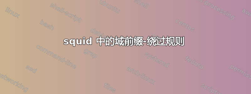 squid 中的域前缀-绕过规则