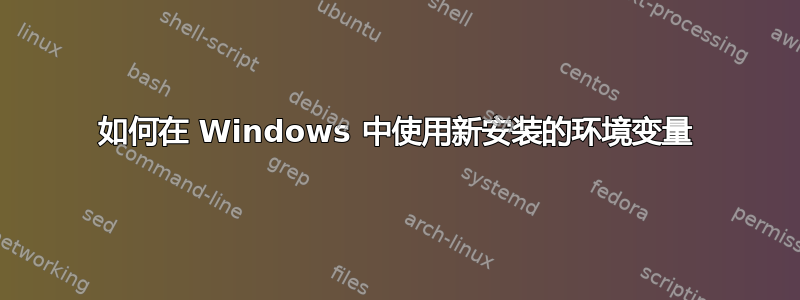 如何在 Windows 中使用新安装的环境变量