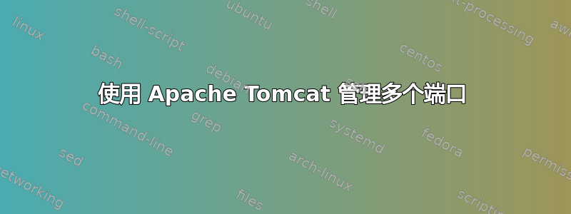 使用 Apache Tomcat 管理多个端口