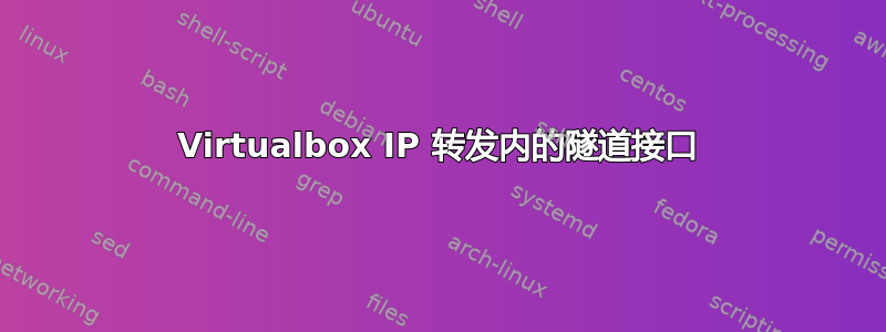 Virtualbox IP 转发内的隧道接口