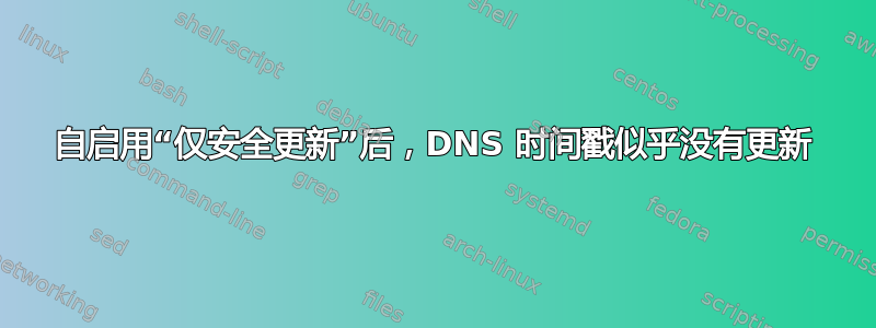 自启用“仅安全更新”后，DNS 时间戳似乎没有更新