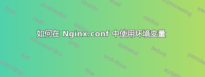 如何在 Nginx.conf 中使用环境变量