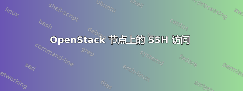 OpenStack 节点上的 SSH 访问