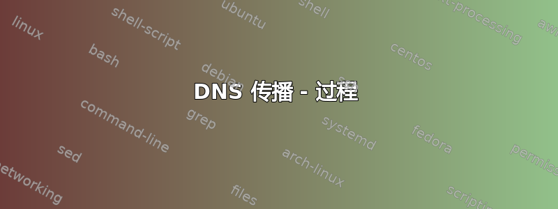 DNS 传播 - 过程