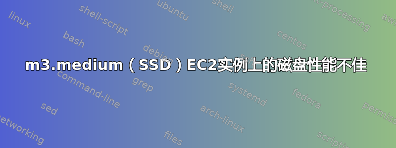 m3.medium（SSD）EC2实例上的磁盘性能不佳