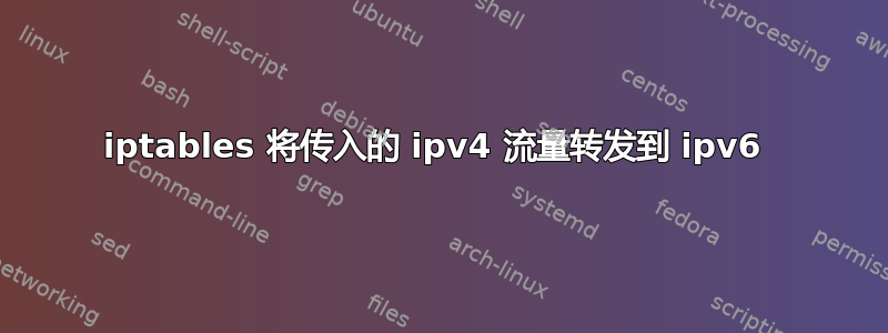 iptables 将传入的 ipv4 流量转发到 ipv6 