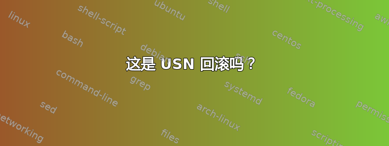 这是 USN 回滚吗？