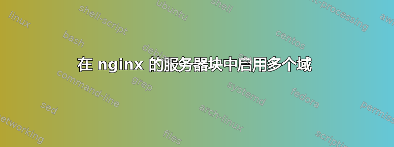 在 nginx 的服务器块中启用多个域