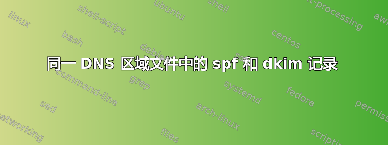 同一 DNS 区域文件中的 spf 和 dkim 记录