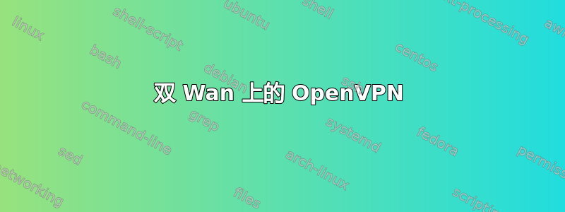 双 Wan 上的 OpenVPN