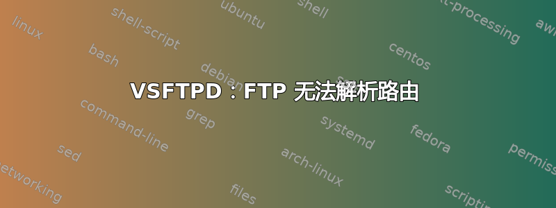 VSFTPD：FTP 无法解析路由