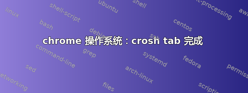 chrome 操作系统：crosh tab 完成