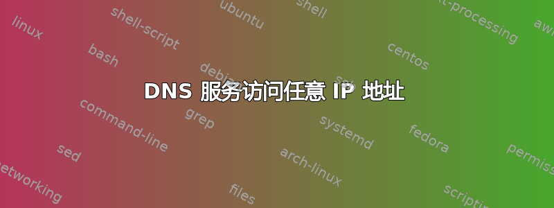 DNS 服务访问任意 IP 地址