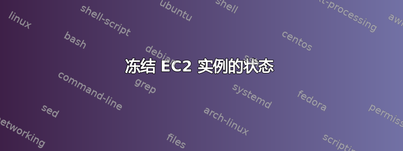 冻结 EC2 实例的状态