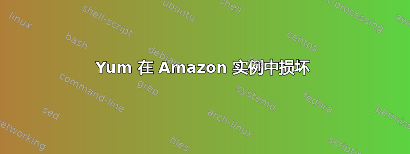 Yum 在 Amazon 实例中损坏